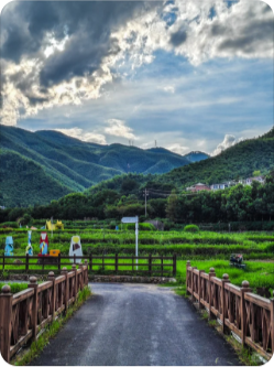 莫干山+庾村风景图