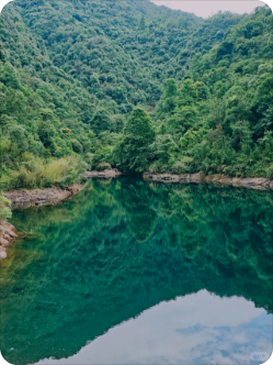 桐庐富春江/大奇山风景图