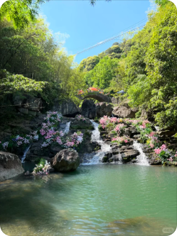 四明山/丹山赤水风景图